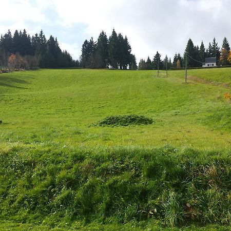 Ferienhaus Am Skihang Altenberg  Kültér fotó