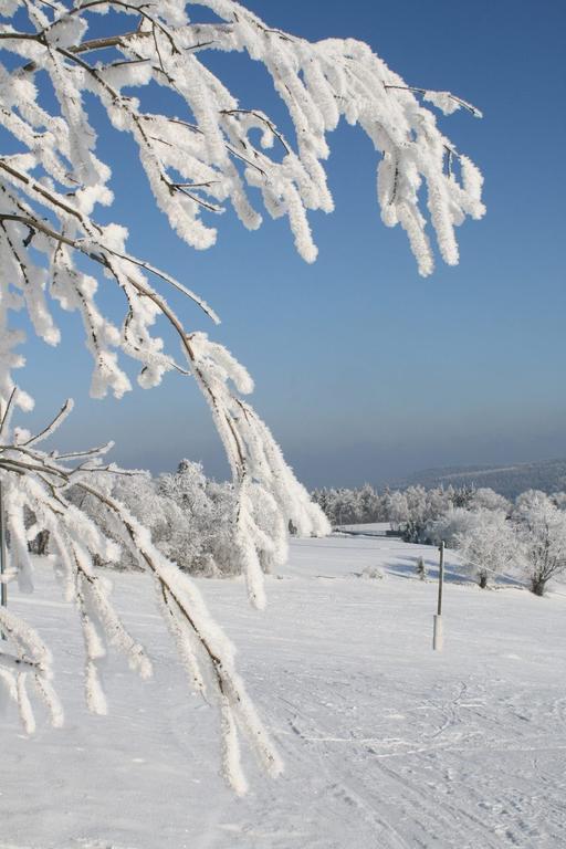 Ferienhaus Am Skihang Altenberg  Kültér fotó