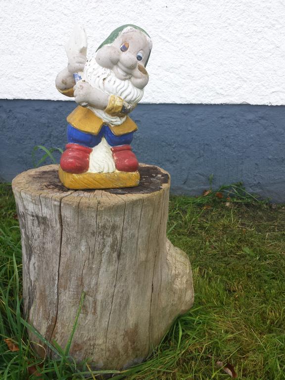 Ferienhaus Am Skihang Altenberg  Kültér fotó